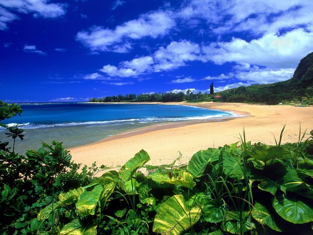 [Haena+Beach_+Kauai_+Hawaii.jpg]