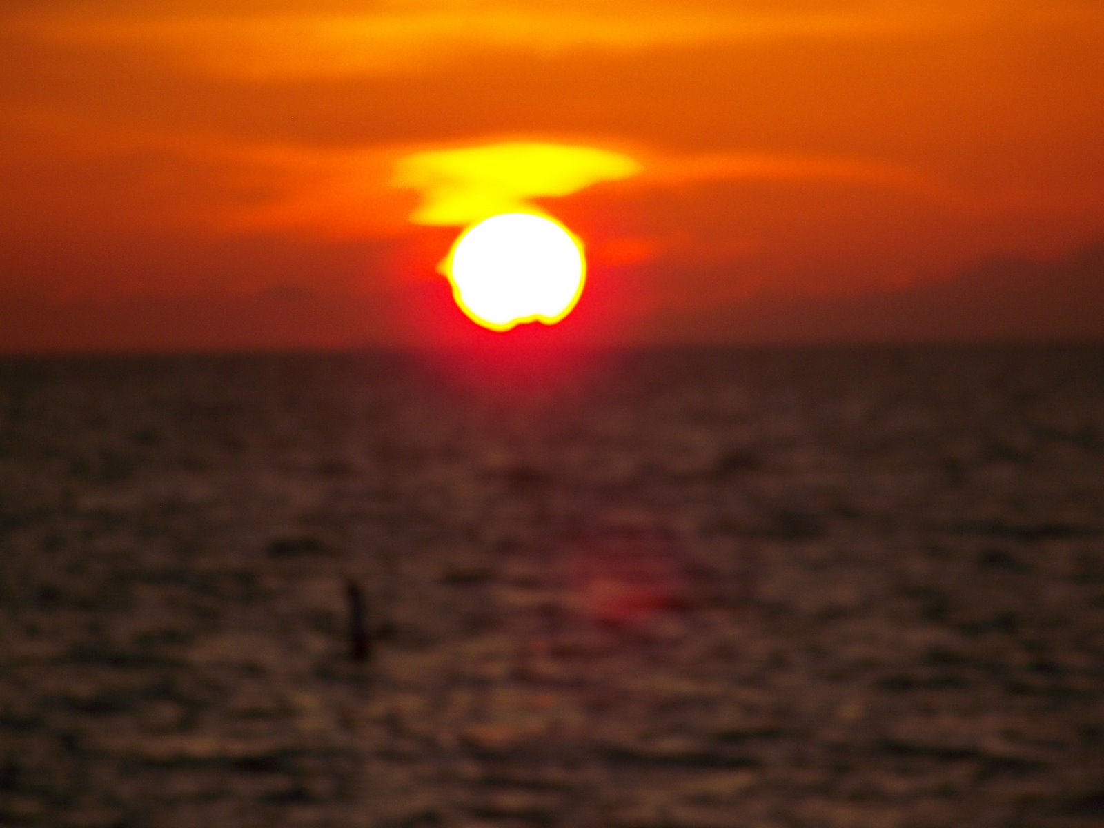 [Florida+Sunsets+018.jpg]