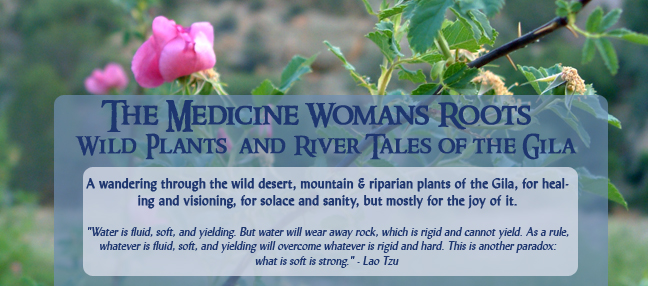 The Medicine Woman's Roots