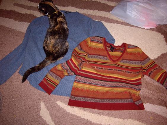 [cat+and+sweaters.JPG]