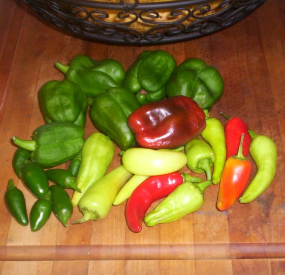 [last+peppers.jpg]