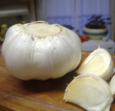[garlic.JPG]