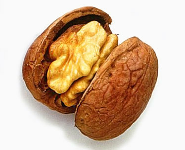 [walnut534710.jpg]