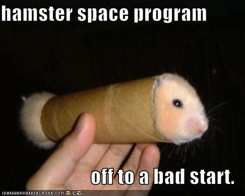 [funny-pictures-hamster-toilet-paper-roll.jpg]