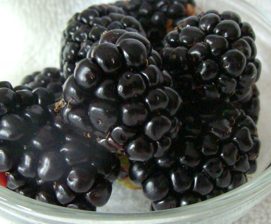 [blackberry+sage+lotion4.jpg]