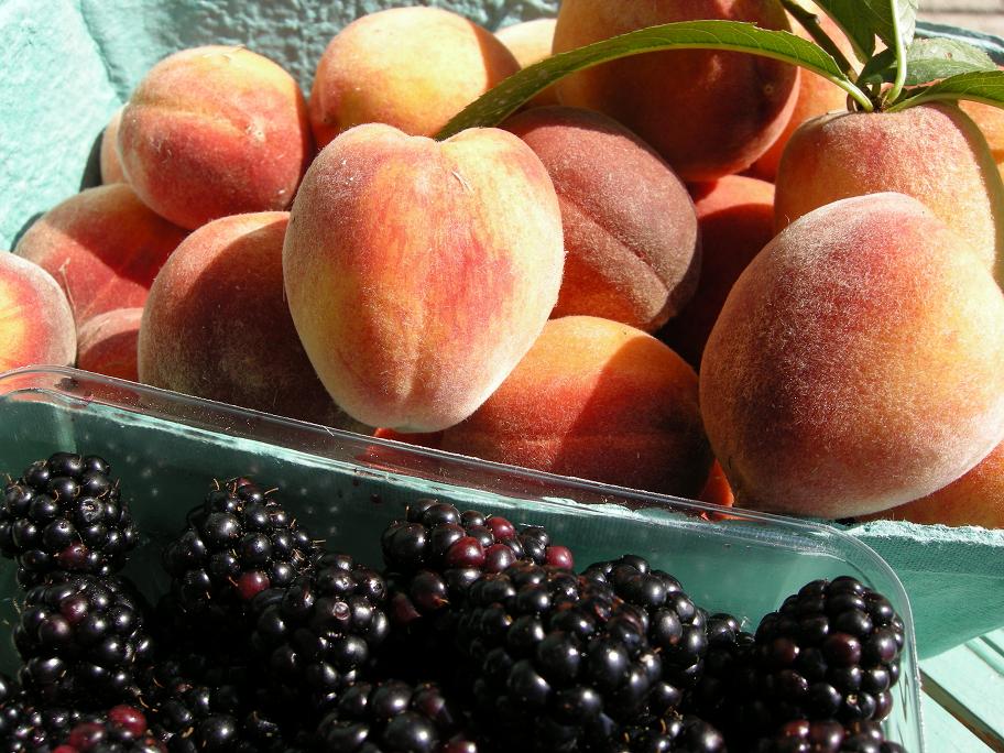 [peaches+and+blackberries+summer+08+SMALL.JPG]