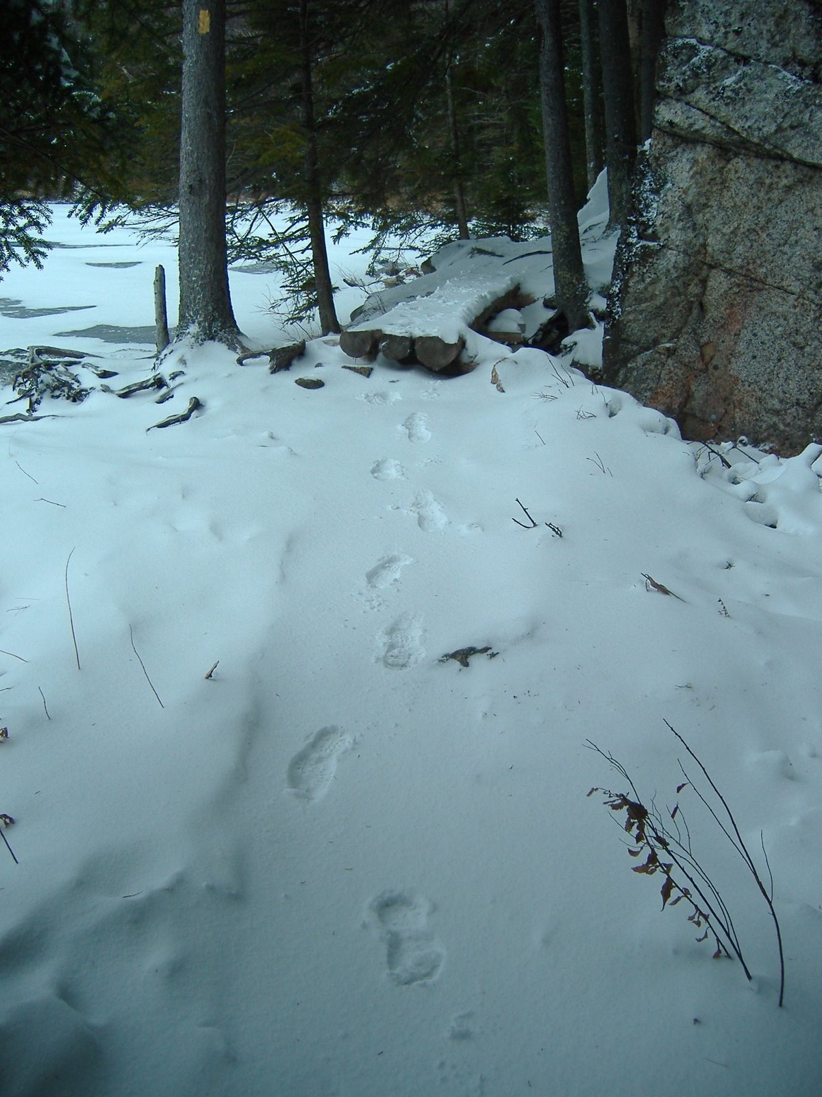 [footprints+in+snow.jpg]