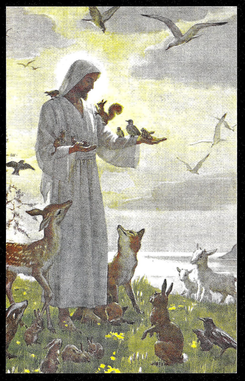 [June+26+Jesus+with+Birds+etc..jpg]