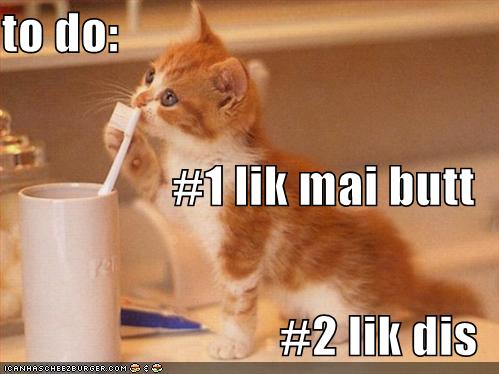 [funny-pictures-orange-kitten-licks-toothbrush.jpg]