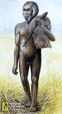 [28654_homo_floresiensis.jpg]