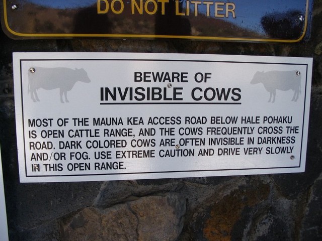 [imagesbeware-20invisible-20cows-small.jpg]