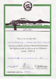 Sheila's Certificate
