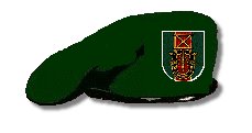 [green+beret.bmp]