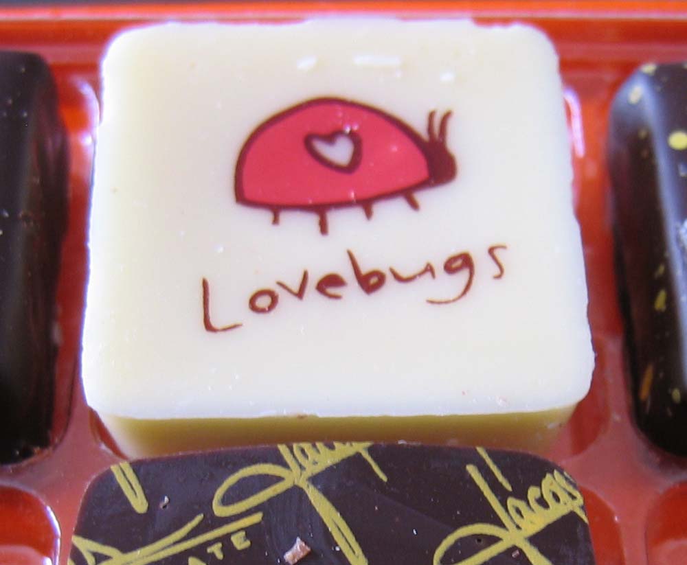 [Lovebugs.jpg]