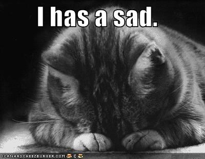 [Sad+Cat.jpg]
