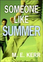 [someone+like+summer.jpg]
