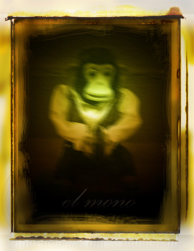 [monkey+polaroid.jpg]