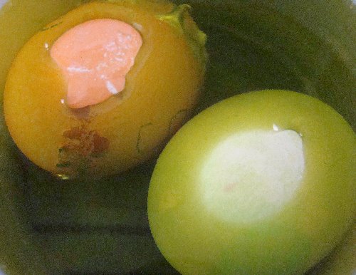 [eggs-color2.JPG]