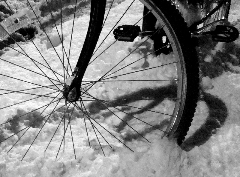 [bike-tire.JPG]