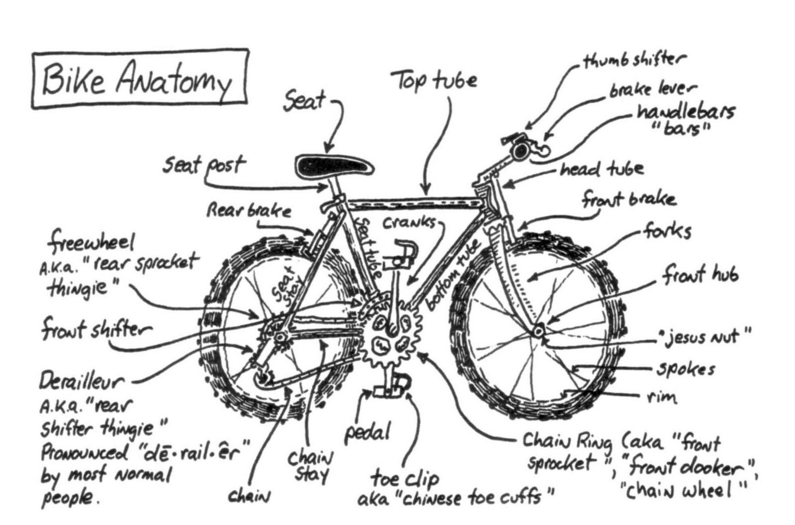 [anatomia+da+bikes.jpg]