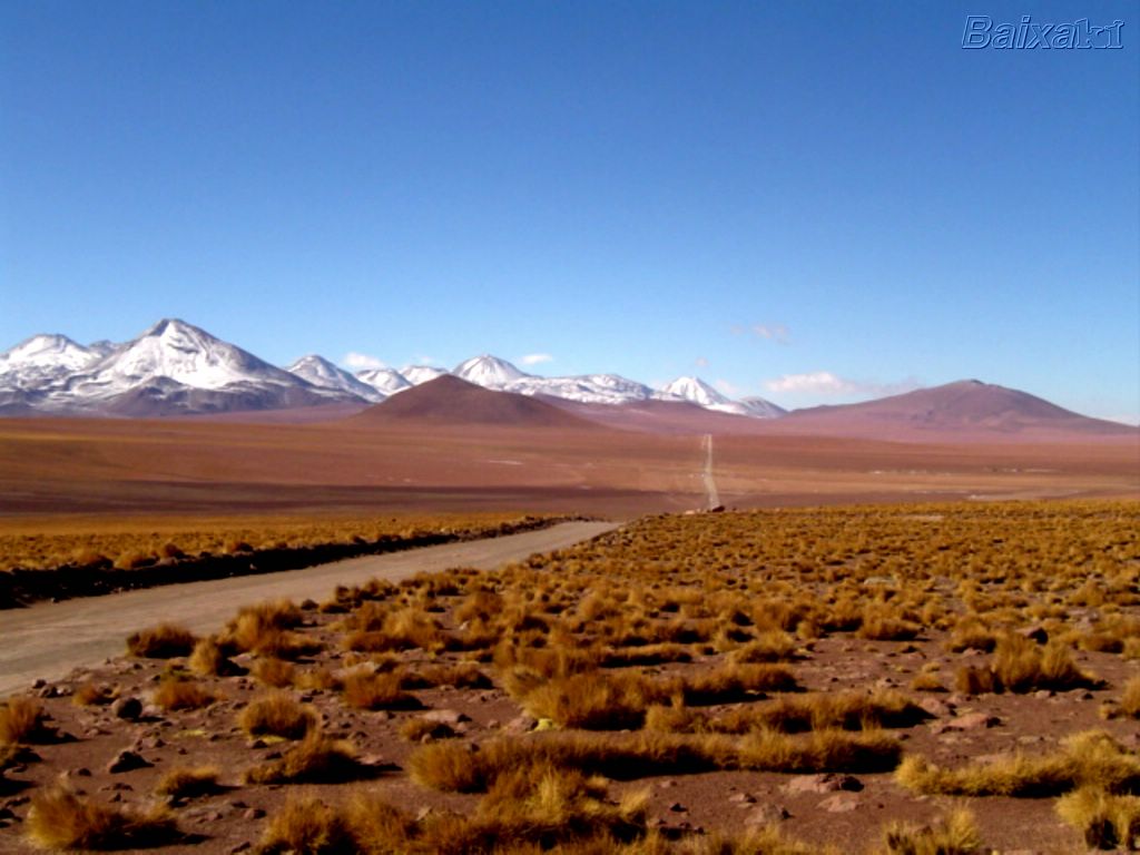 [BXK17007_deserto-de-atacama-_cordilheira-andina-_norte-do-chile_-agosto-2004-_p.pd13820800.jpe]