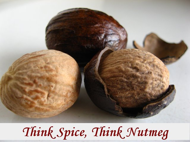 [Nutmeg+Logo.bmp]
