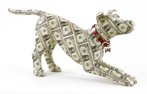 [money-dog.jpg]