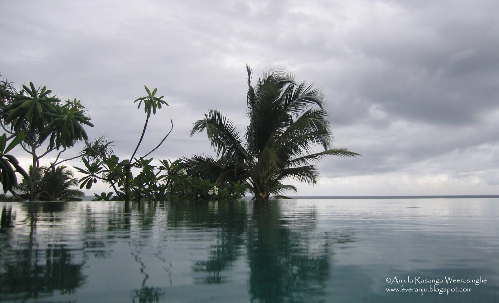 [Pool+Araliya+and+Sea+view+The+Fortress+Anjula+Rasanga+Weerasinghe.jpg]