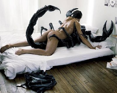 [spider-sex-photo-1.jpg]