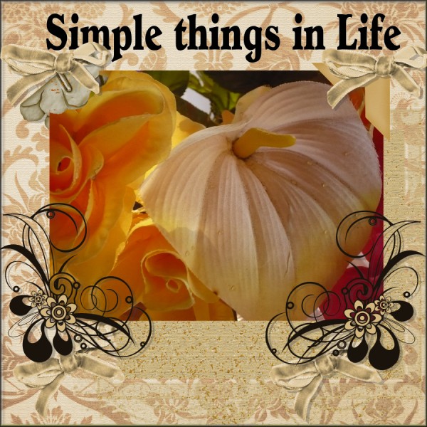 [Simple+Things+in+life+by+Margie+Overman+(600+x+600).jpg]