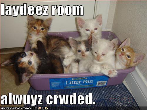 [funny-pictures-kittens-litterbox-crowded-ladies-room2.jpg]