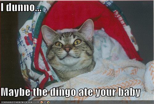 [funny-pictures-cat-baby-bed-dingo.jpg]