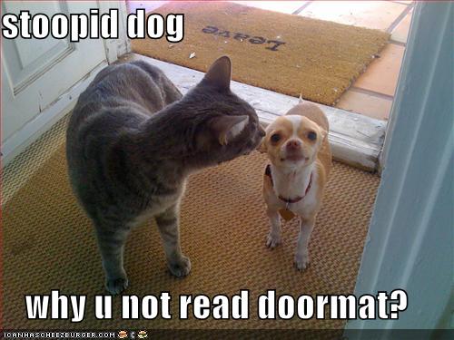 [funny-pictures-cat-dog-doormat-leave.jpg]