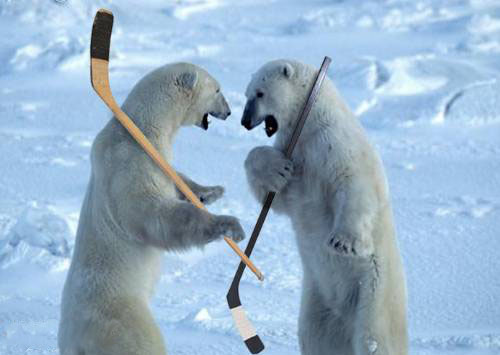 [Polar+Bears+Hockey.jpg]