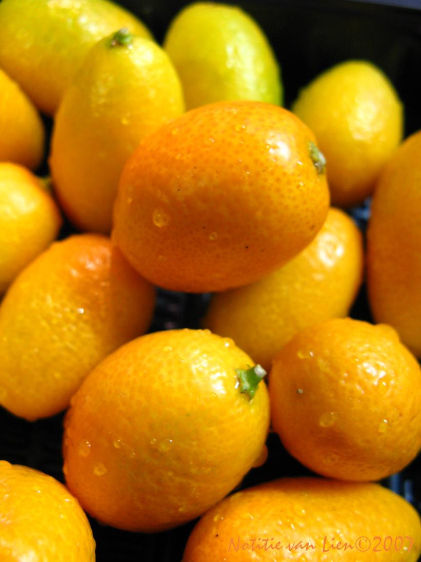 [Kumquats.JPG]