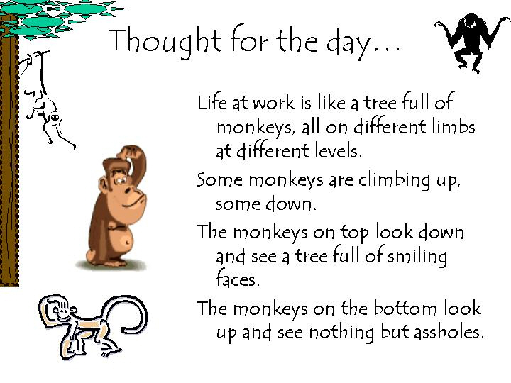 [monkey+thoughts.jpg]