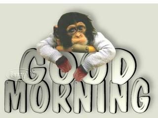 [monkey+morning.jpg]