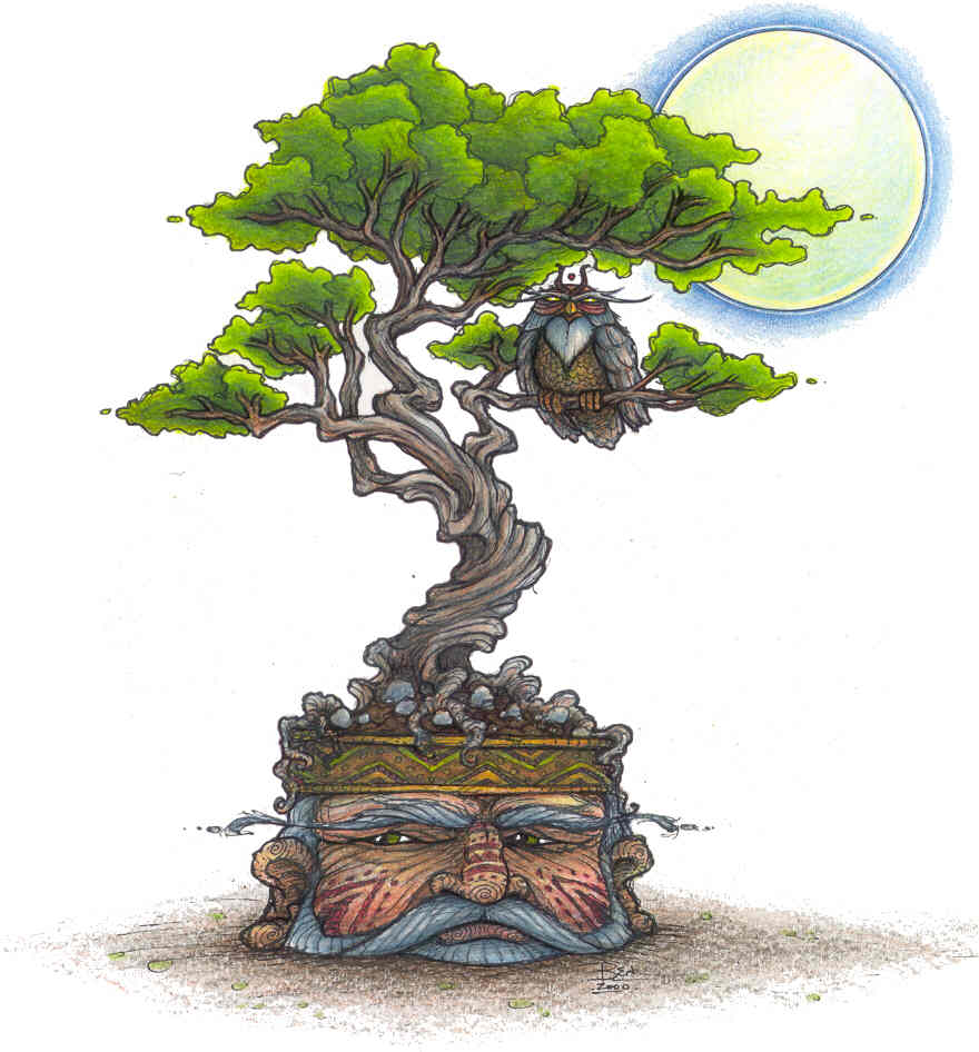 [bonsai1.JPG]