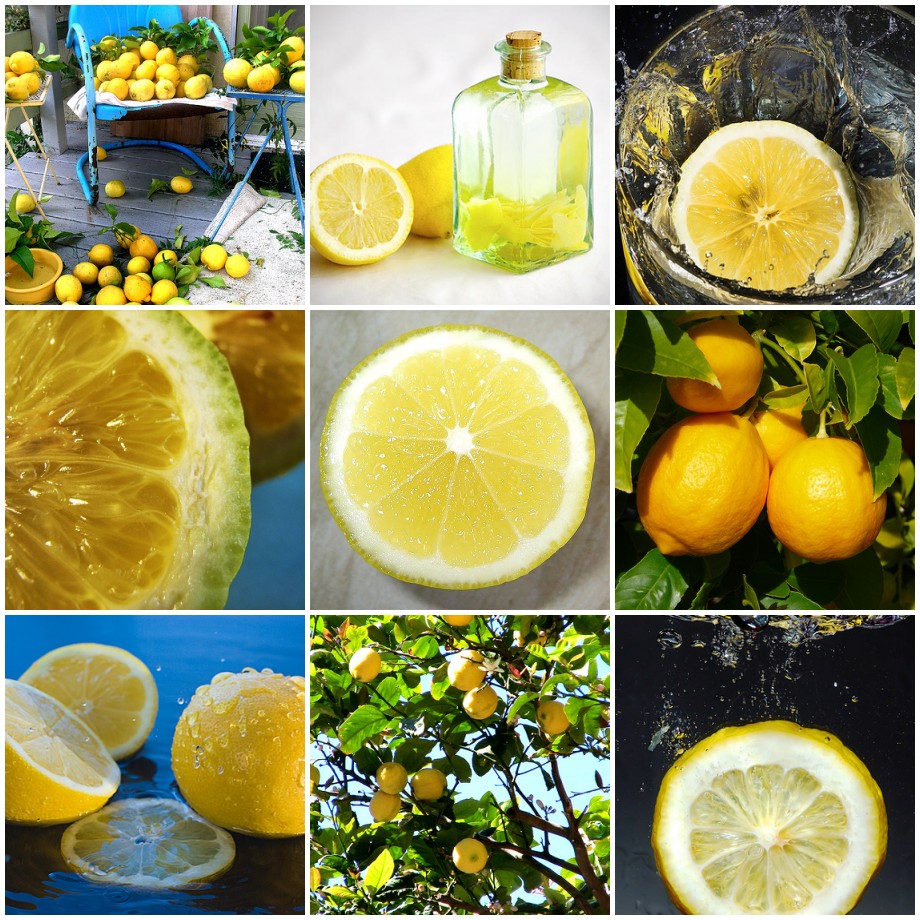 [mosaic+lemons.jpg]