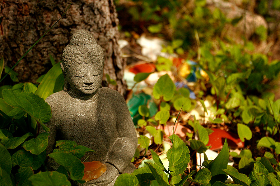 [Buddha1.jpg]
