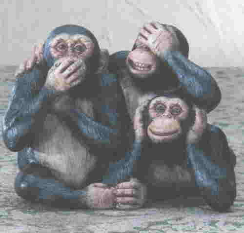 [3-monkeys.jpg]