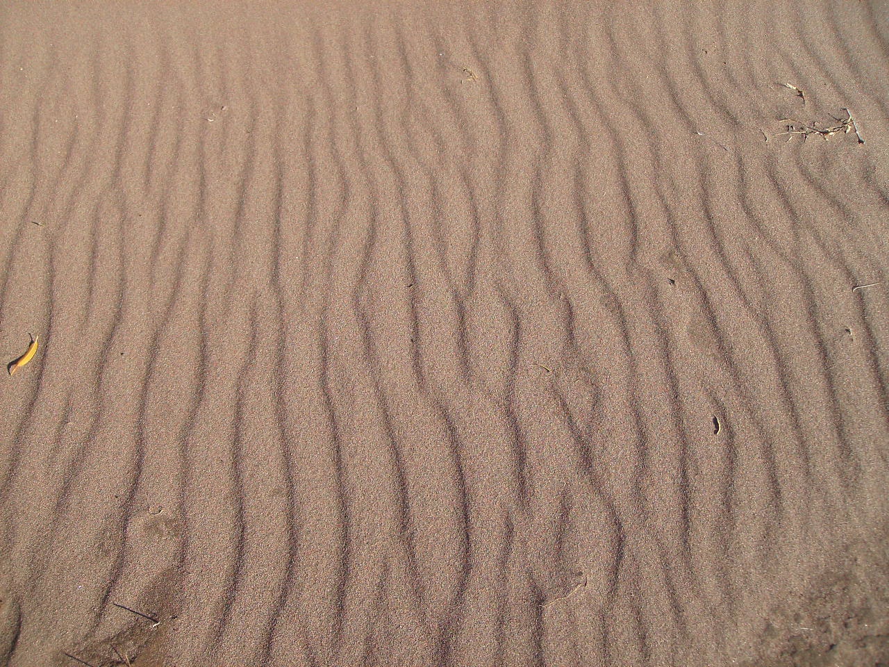 [Great+Sand+Dunes+National+Park+10-6-07+019.jpg]