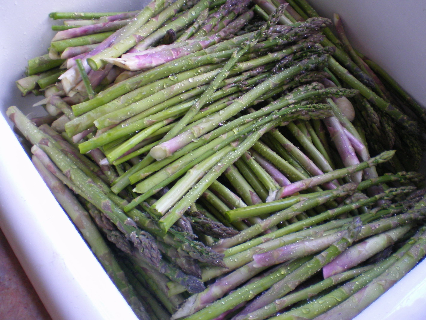 [2007-05-03+asparagus.jpg]