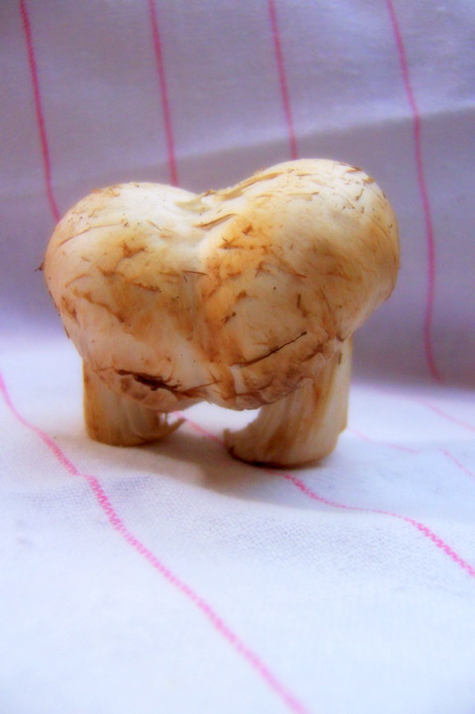 [Mushroom+Valentine+Fresh+Approach+Blog.jpg]