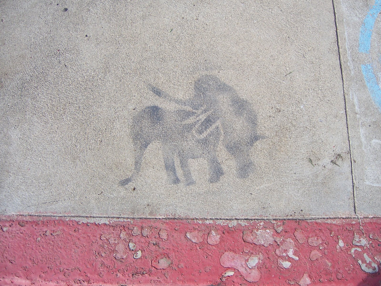 [elephants.jpg]
