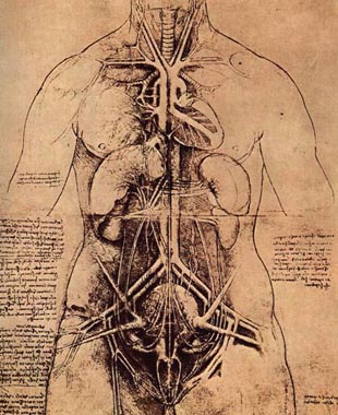 [leonardo+anatomia-femenina.jpg]