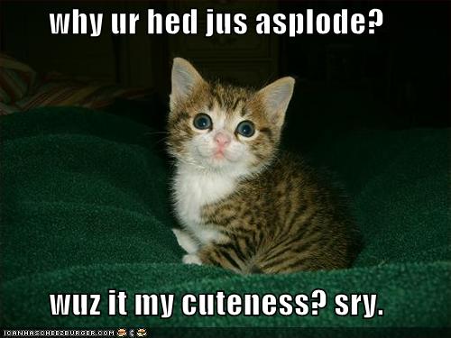 [funny-pictures-kitten-makes-head-explode-cuteness.jpg]
