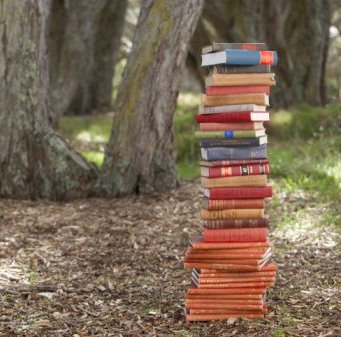 [books_forest.jpg]
