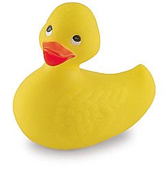 [duck.bmp]