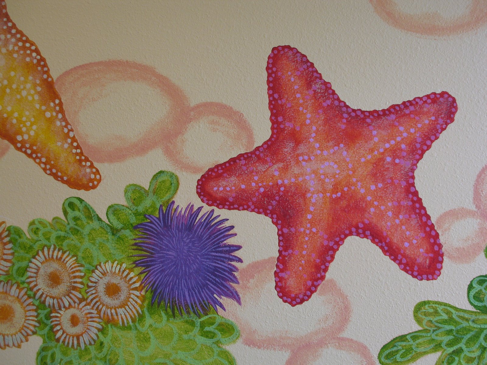 [starfish+detail.JPG]